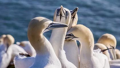 爱游戏体育APP下载-电竞电竞赛事透明化管理体系与公平竞争保障机制，电竞赛事包装