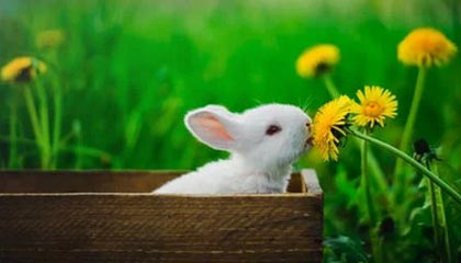 爱游戏体育APP下载-电竞电竞赛事透明化管理体系与公平竞争保障机制，电竞赛事包装