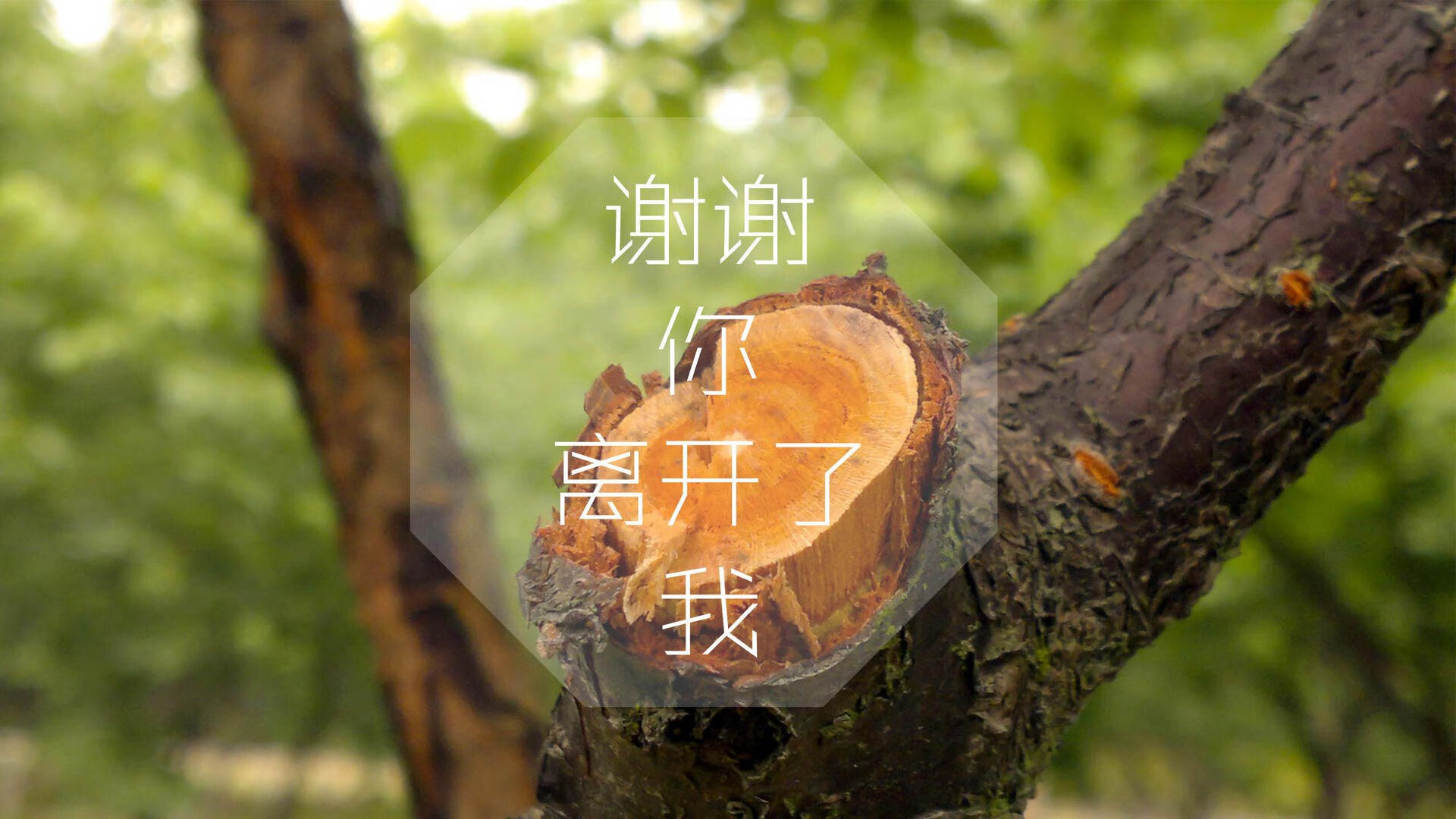 中超球队球队战术执行，中超比赛规则改革