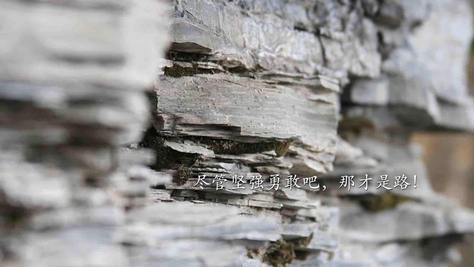 “武汉马拉松赛：决胜时刻，谁能迎风而上？”
