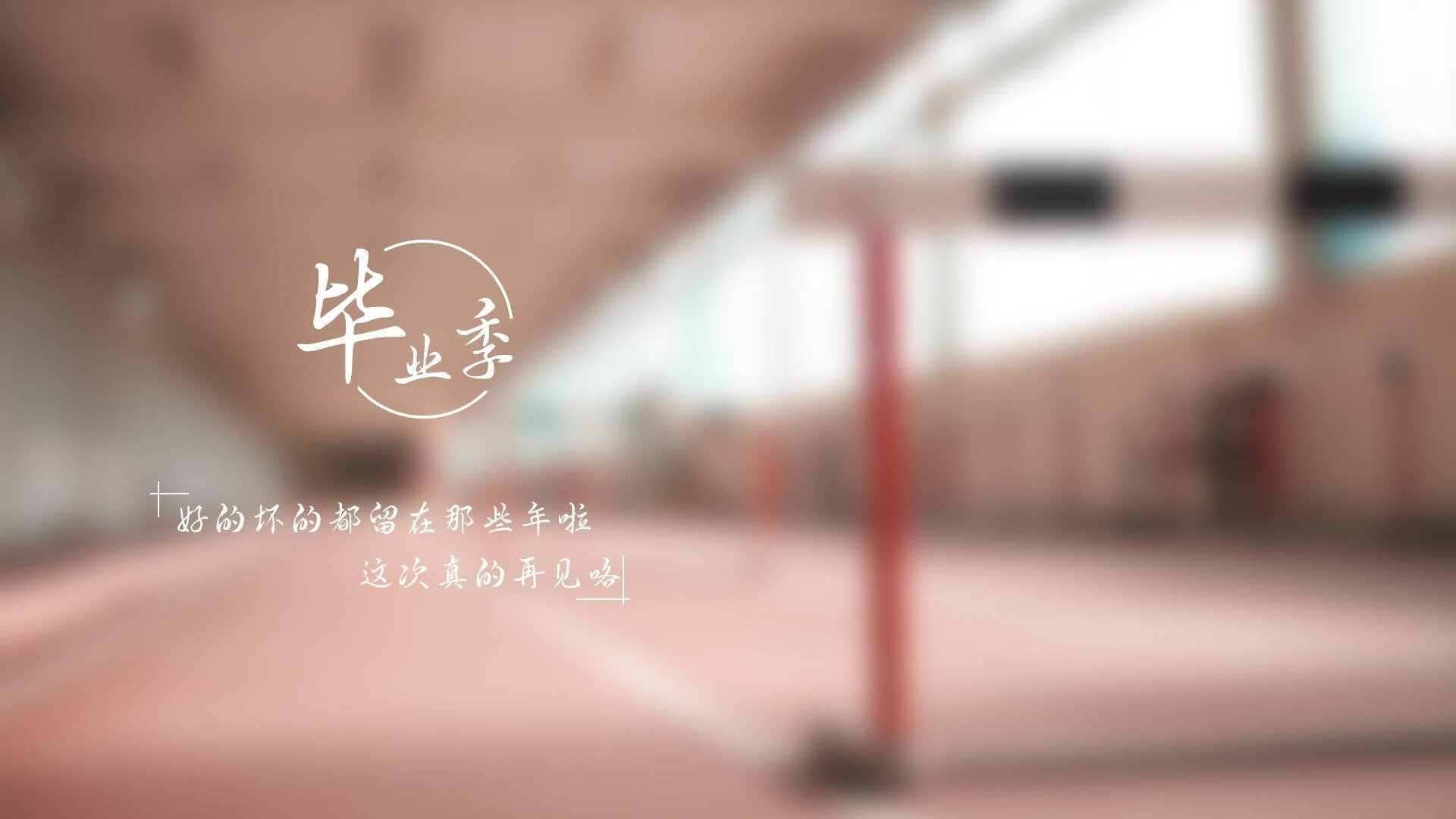 中国女泳队团队氛围积极，中国游泳女队名将