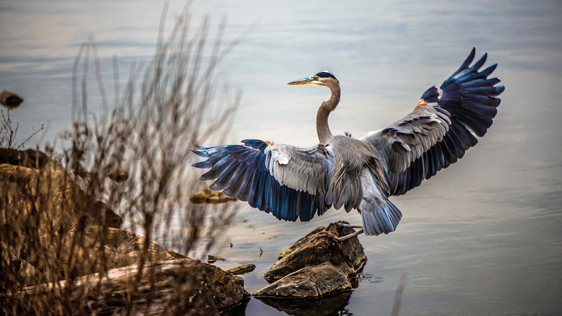 主帅伊戈尔·图多尔呼吁球队学习经验提升，伊戈尔个展