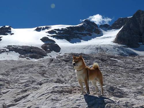 爱游戏官方网站-体育新闻中心启动体育赛事内容智能生成平台，体育赛事报道