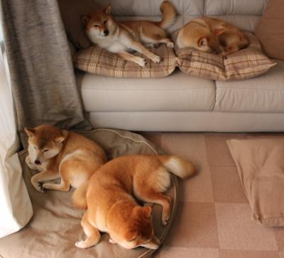 爱游戏娱乐网址-俱乐部财务管理混乱频发，俱乐部会计的主要职责