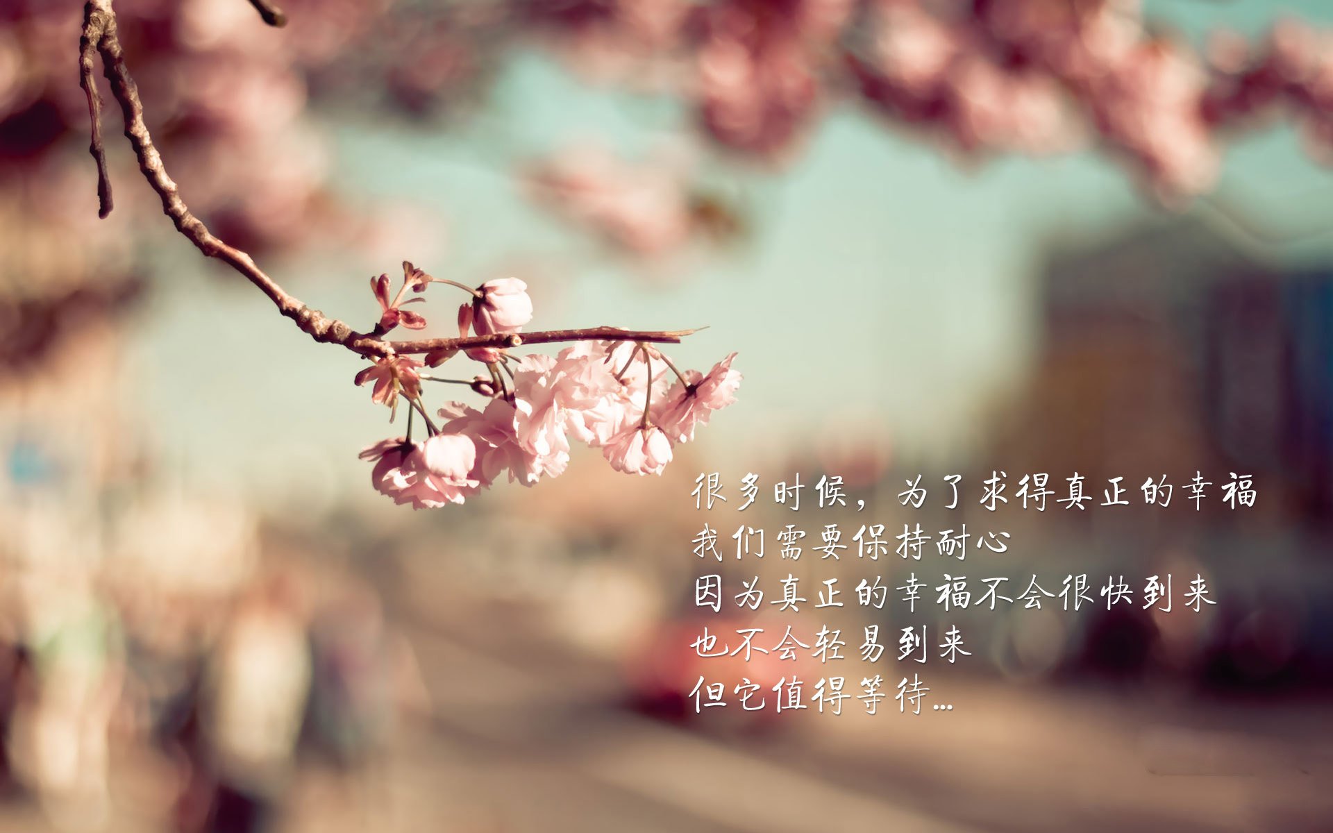 青少年赛事结构未形成体系化，青少年竞赛应回归本位