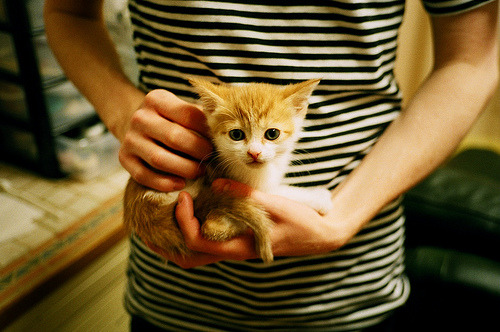 中国女排队员集体参加体能测试,女排 体能测试