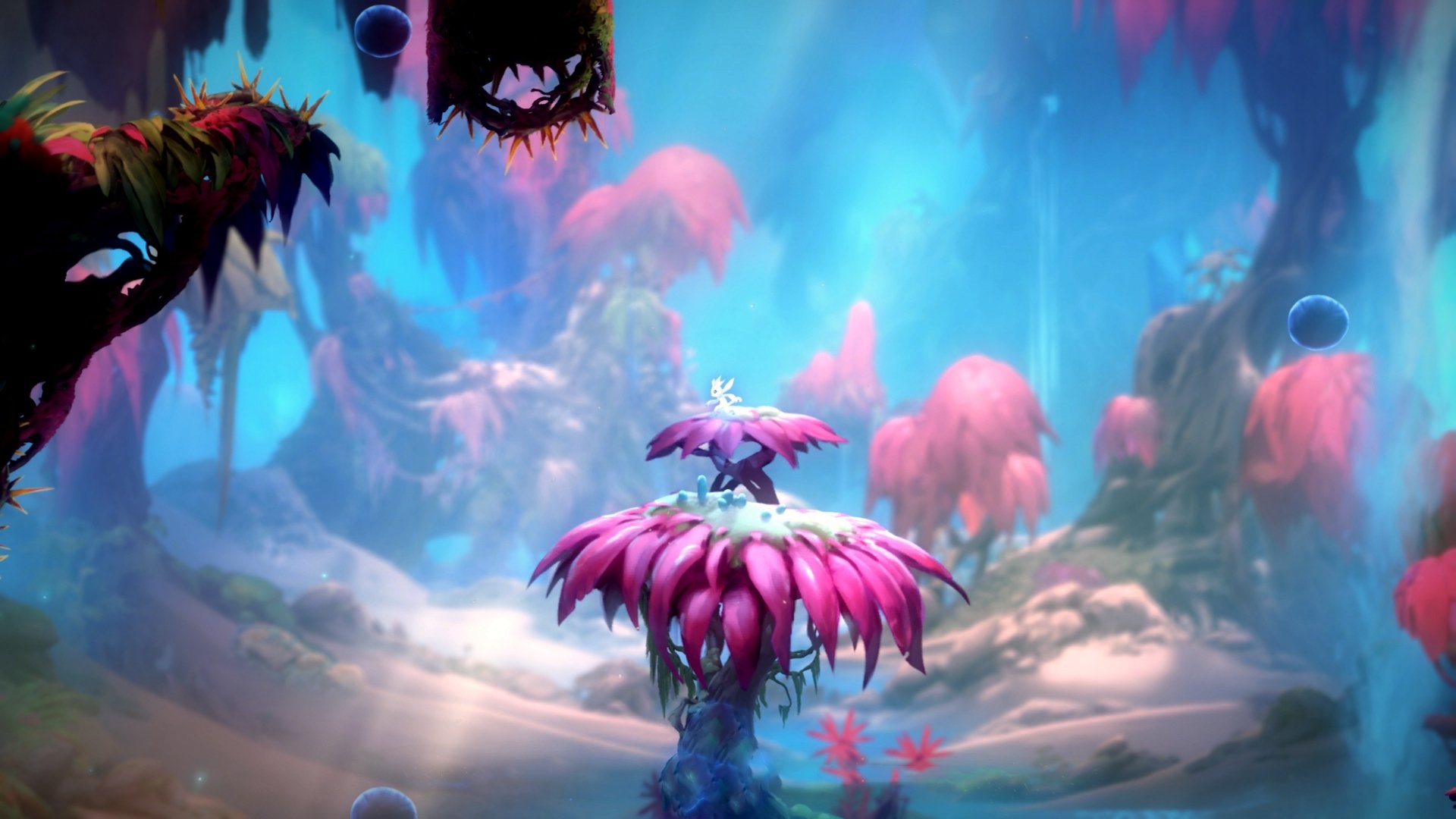 中国足球职业联赛防疫安全措施严格执行,中国实行足球职业联赛