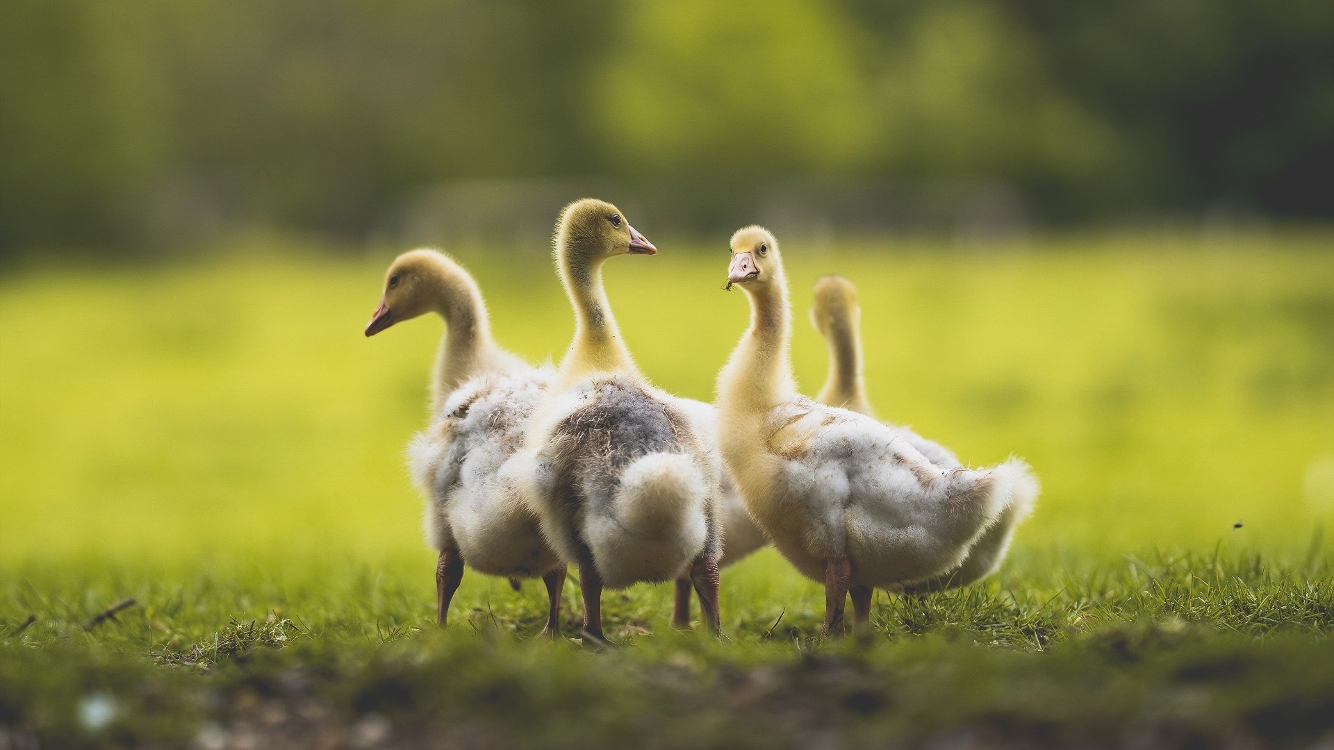爱游戏-中国足球职业联赛引入裁判情境决策演练系统，中国足协裁判培训