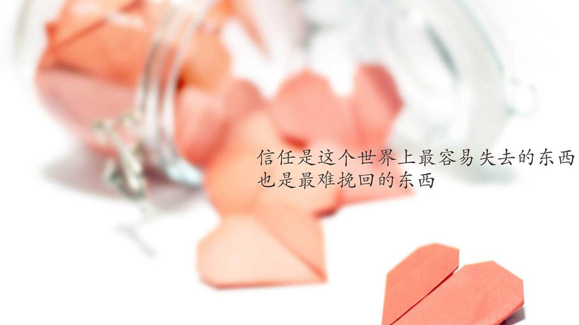 凯尔特人上线互动直播拉近粉丝距离，凯尔特人怎么没有视频直播