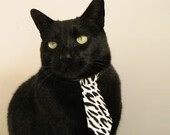 AYX SPORTS-凯尔特人替补席发挥出色带动球队节奏，凯尔特人换帅