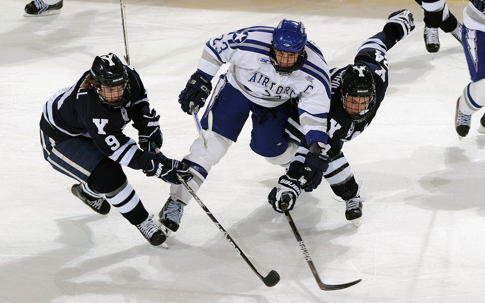 AYXSPORTSAPP-女子排球联赛冠军争夺激烈，女子排球联赛排名