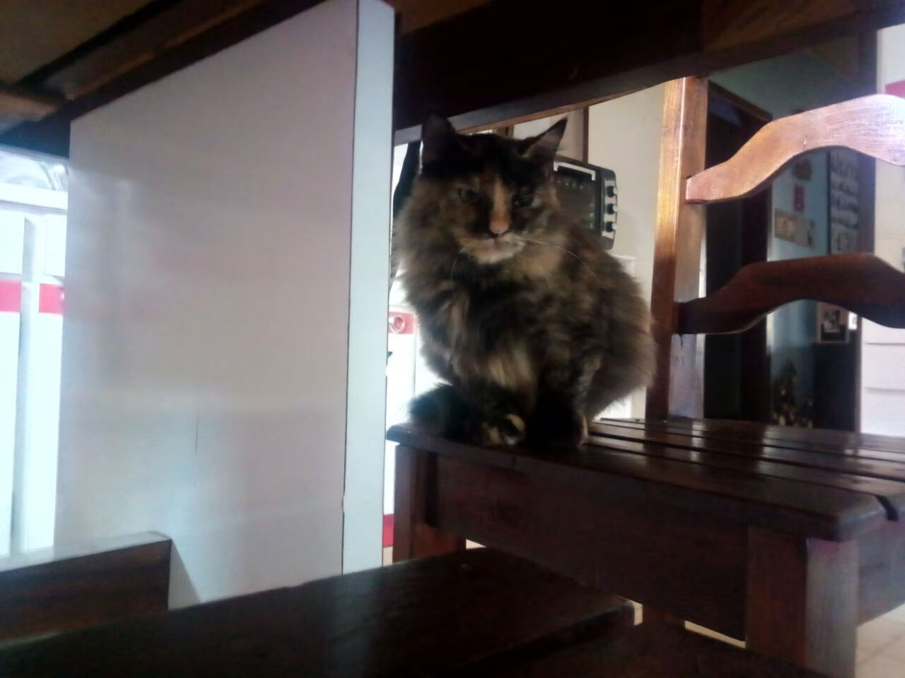 特色足球文化在国际博物馆展览中展出，推动文化交流与传播，足球特色示范园