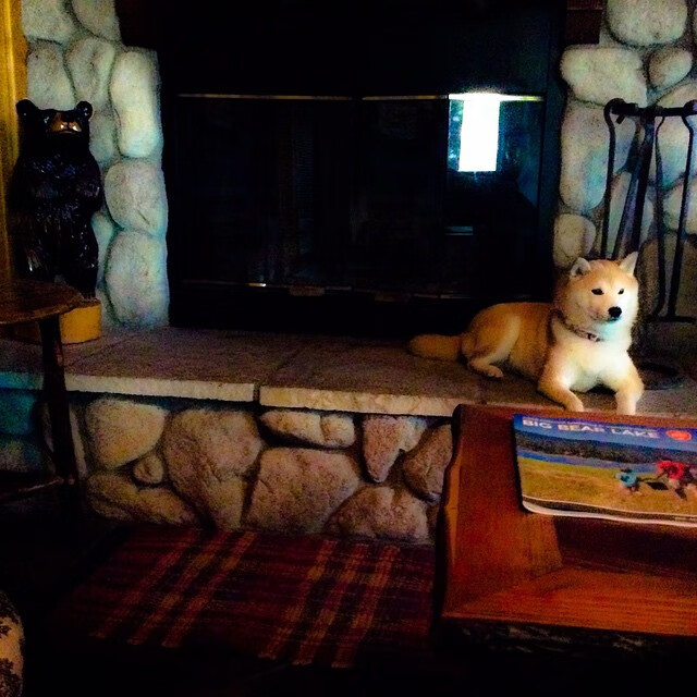 爱游戏官方-视频分析系统智能识别战术偏差辅助教练制定应对措施，视频分析识别能力