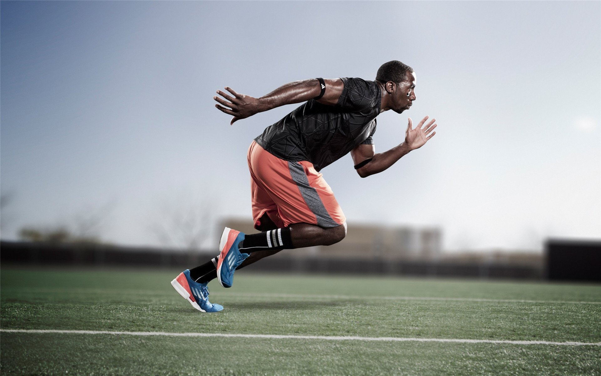 跳水发挥稳定波兰晋级四强，波兰跳高运动员